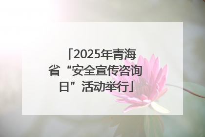 2025年青海省“安全宣传咨询日”活动举行