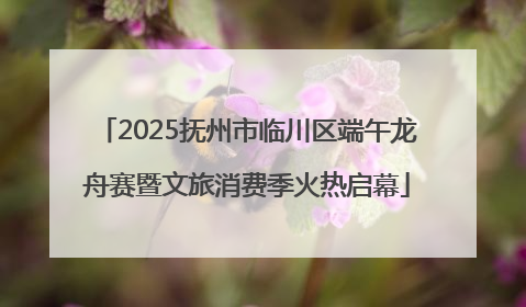 2025抚州市临川区端午龙舟赛暨文旅消费季火热启幕