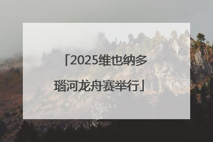 2025维也纳多瑙河龙舟赛举行