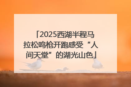 2025西湖半程马拉松鸣枪开跑感受“人间天堂”的湖光山色