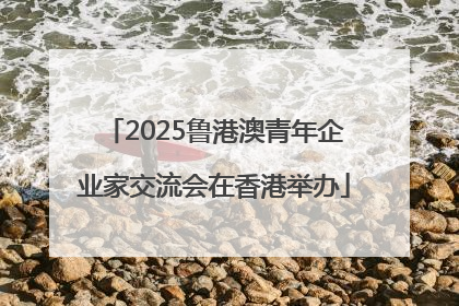 2025鲁港澳青年企业家交流会在香港举办