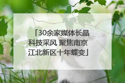 30余家媒体长晶科技采风 聚焦南京江北新区十年蝶变