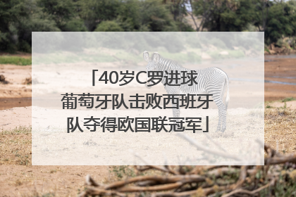 40岁C罗进球 葡萄牙队击败西班牙队夺得欧国联冠军