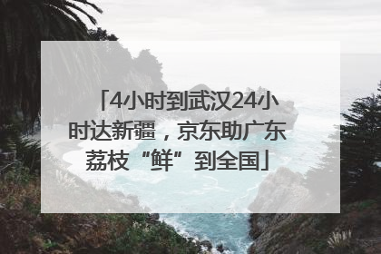 4小时到武汉24小时达新疆，京东助广东荔枝“鲜”到全国