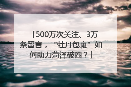 500万次关注、3万条留言，“牡丹包裹”如何助力菏泽破圈？