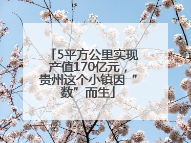 5平方公里实现产值170亿元，贵州这个小镇因“数”而生