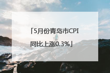 5月份青岛市CPI同比上涨0.3%