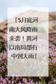 5月底河南大风降雨来袭！黄河以南局部有中到大雨