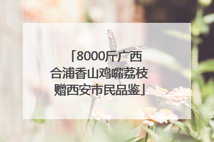 8000斤广西合浦香山鸡嘴荔枝赠西安市民品鉴