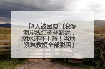 8人被困厦门浪漫海岸线红树林淤泥，潮水还在上涨！当地紧急救援全部脱困