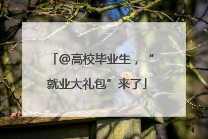 @高校毕业生，“就业大礼包”来了