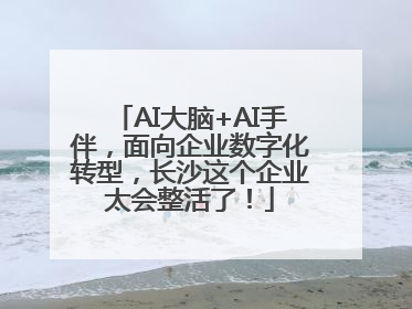AI大脑+AI手伴，面向企业数字化转型，长沙这个企业太会整活了！