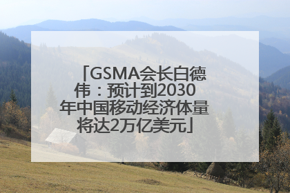 GSMA会长白德伟：预计到2030年中国移动经济体量将达2万亿美元