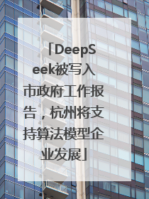 DeepSeek被写入市政府工作报告，杭州将支持算法模型企业发展