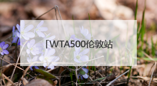 WTA500伦敦站 郑钦文挺进4强！