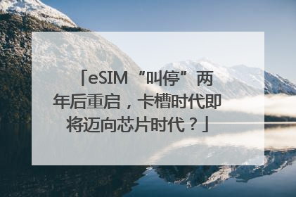 eSIM“叫停”两年后重启，卡槽时代即将迈向芯片时代？